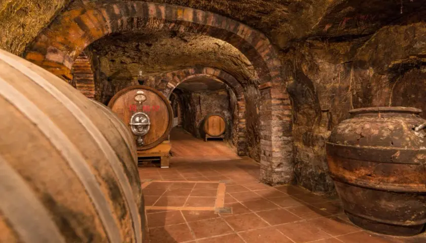 Cantina sotterranea con botti di legno e anfora antica, un viaggio sensoriale a Colle Santa Mustiola.