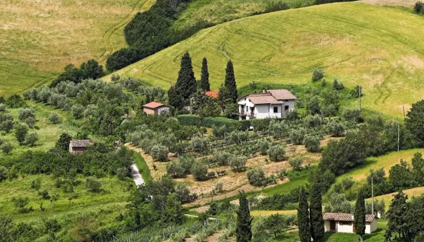 Colline toscane con uliveti e vigneti, dove si intravedono piccoli borghi vicino a San Casciano Val di Pesa.