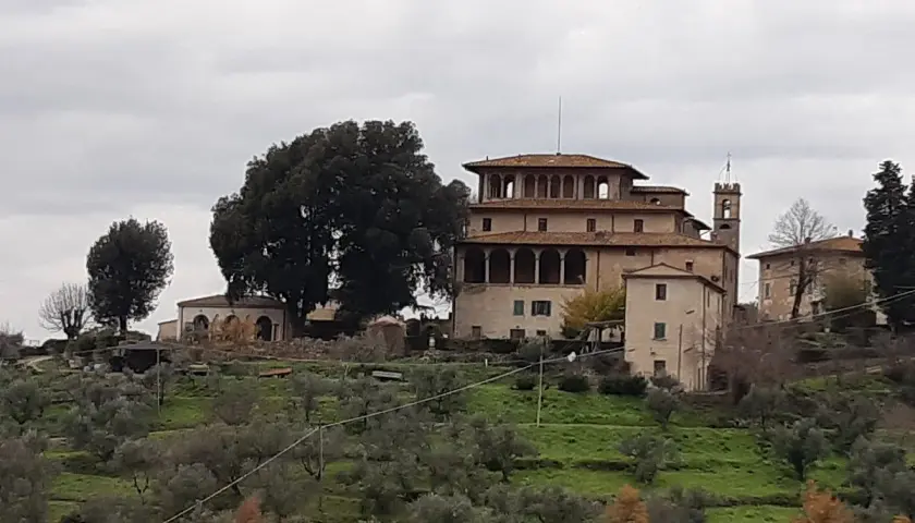 Villa medicea e uliveti, un'idea di cosa vedere a Lamporecchio.