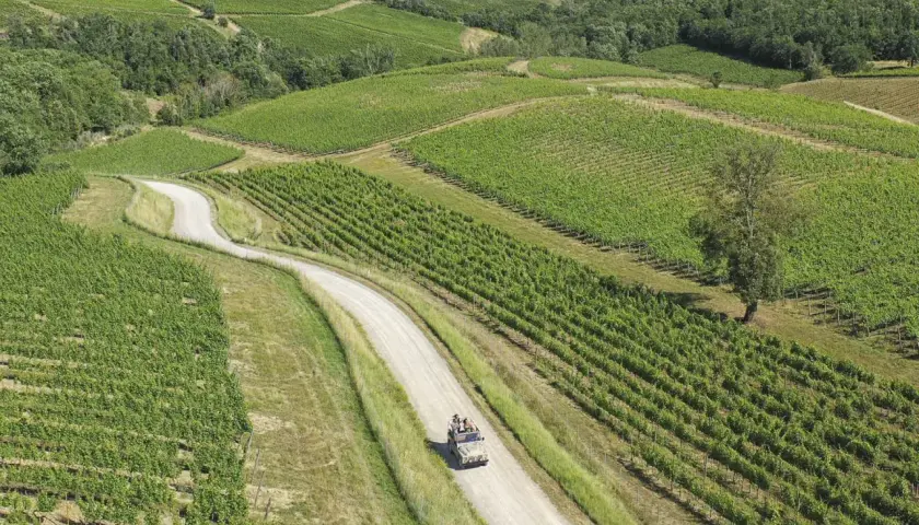 Un tour cantine Chianti in fuoristrada tra dolci colline e vigneti rigogliosi.