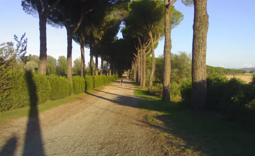 Cascine di Tavola - Scopri il parco mediceo che racconta la Toscana