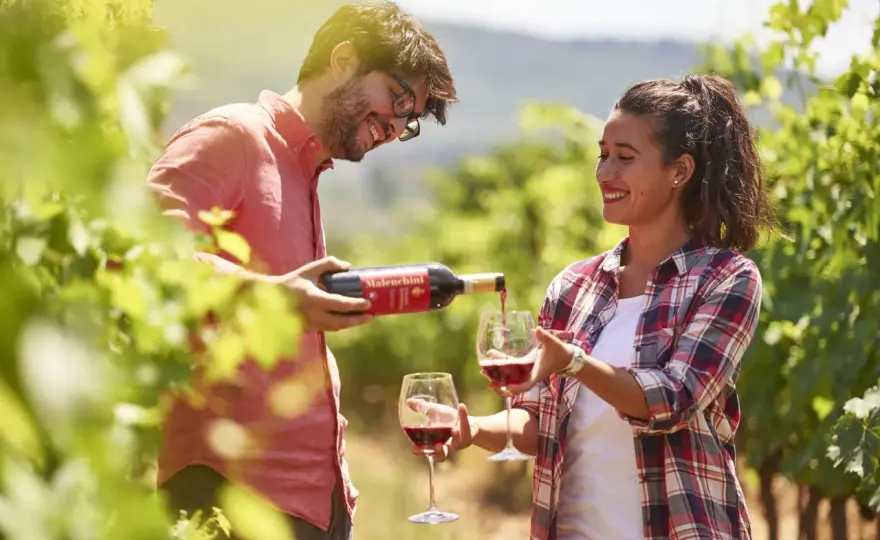 Tenuta Malenchini vicino a Firenze, tra vino, olio e storia