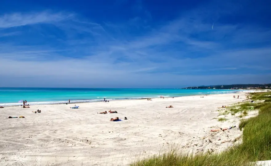Spiagge Bianche Vada - La guida completa per non restare deluso