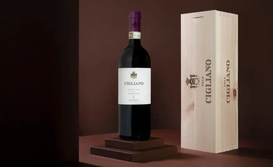 Chianti Gran Selezione, guida a scelta, prezzo e abbinamenti