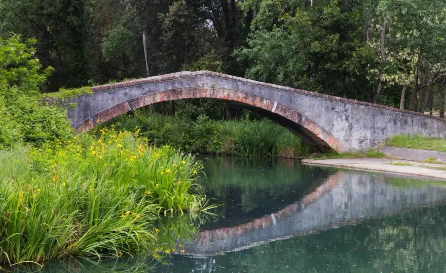 Parco della Versiliana - La guida completa per una visita indimenticabile