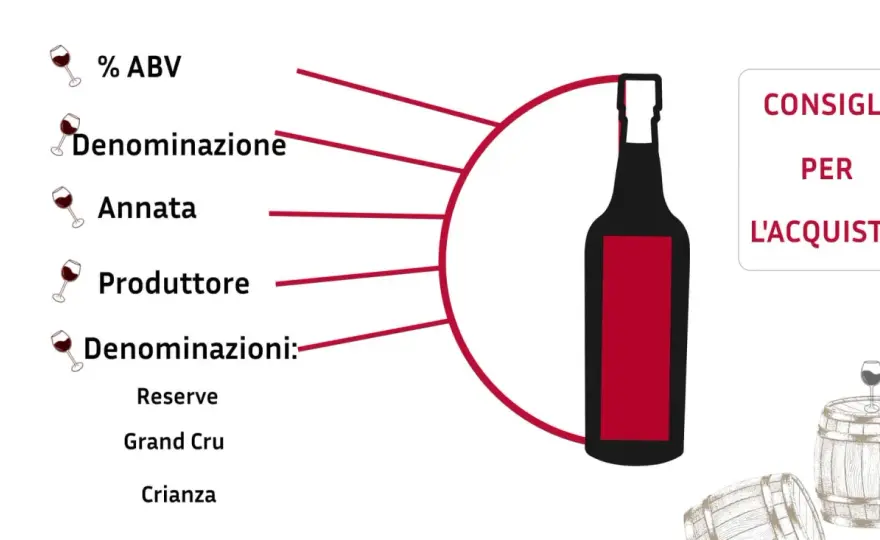Cabernet in Italia: la guida completa per capirlo davvero