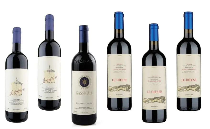 Sassicaia, il grande vino di Bolgheri da aspettare