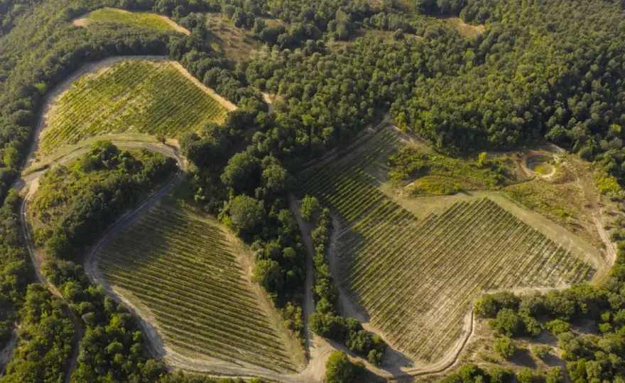 Riserva naturale Monterufoli-Caselli, guida tra boschi e miniere