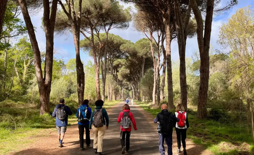 San Rossore a Pisa, guida pratica tra sentieri e natura