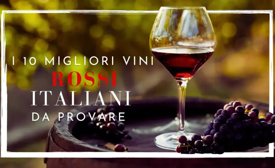 Miglior vino rosso italiano - guida a Barolo, Brunello e Amarone