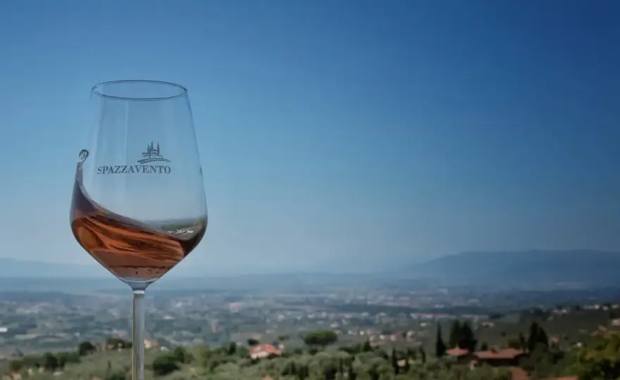 Cantina vicino a Empoli - visita, vini e degustazioni