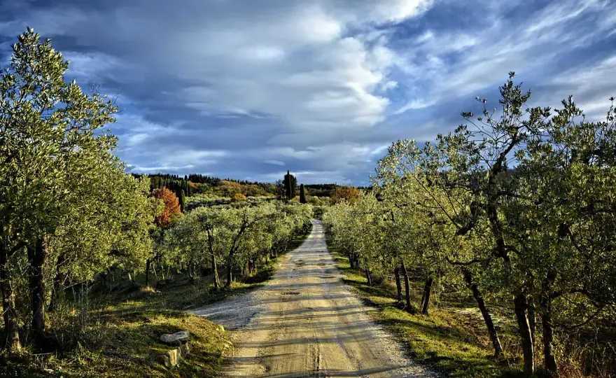 Via Romea Sanese - Tappe e consigli per il cammino Firenze-Siena