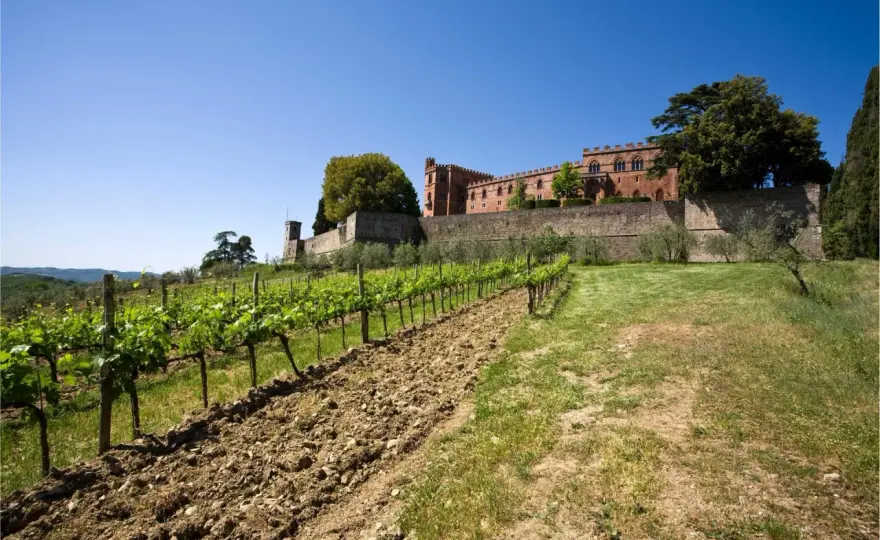Castelli del Chianti - Evita errori, vivi un'esperienza autentica
