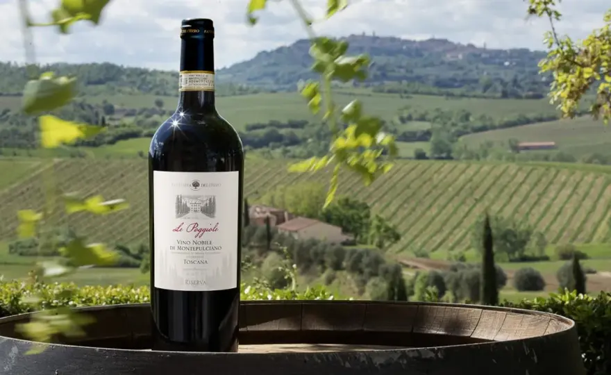 Visita Cantina Montepulciano: Guida Completa per un'Esperienza Top