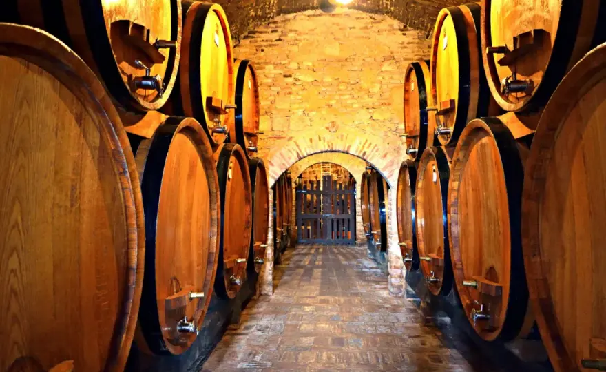 Come scegliere una cantina in Toscana e organizzare la visita