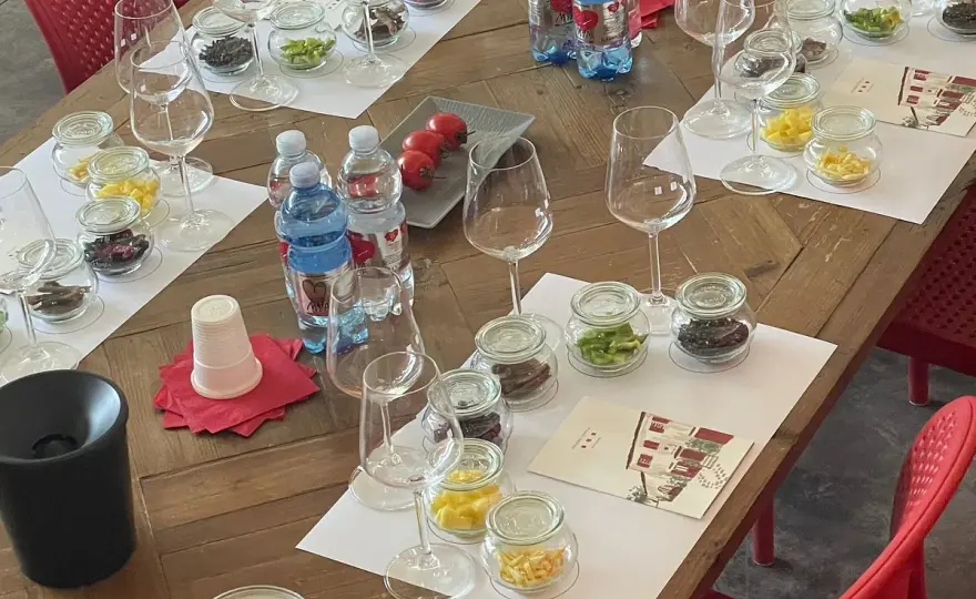 Podere Conca a Bolgheri, vini biologici e degustazioni