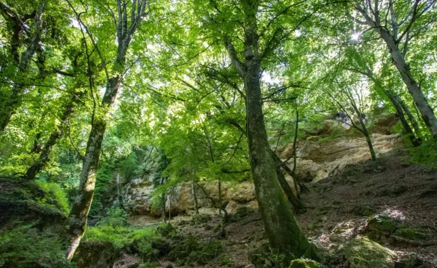 Valdichiana naturale - laghi, boschi e percorsi da scoprire