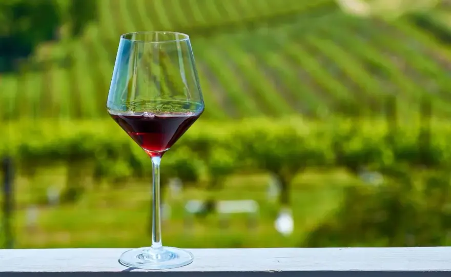 I migliori vini italiani - stili, prezzi e abbinamenti