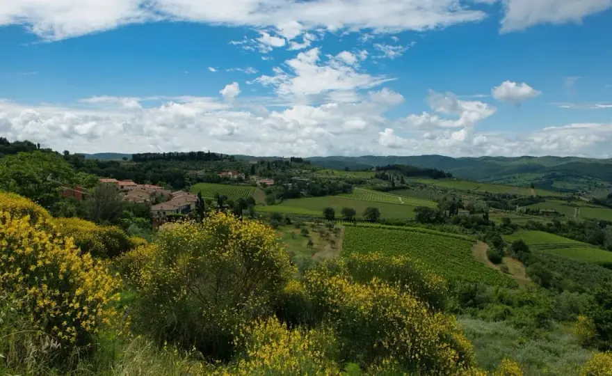Chianti tra cantine e borghi - itinerario da Firenze a Siena