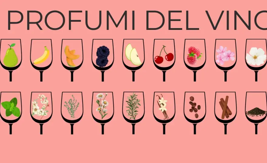 Vitigni aromatici italiani - profumi, stili e abbinamenti