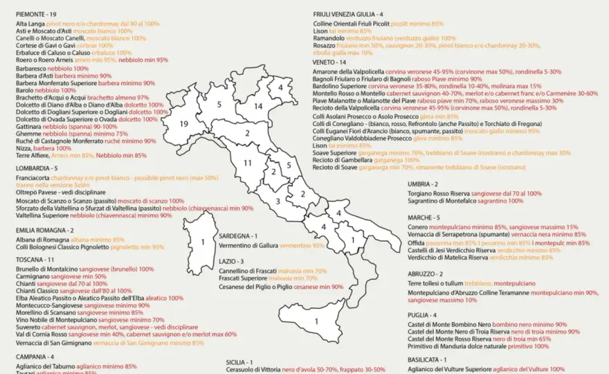 DOCG wine, cosa significa e come scegliere bene