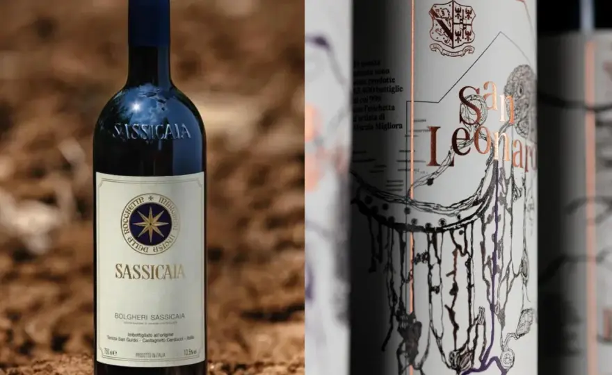 Sassicaia - Quale comprare nel 2026 e quanto vale?