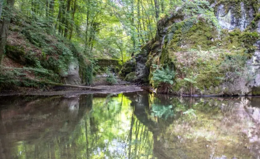 Faggeta del Monte Amiata, sentieri e consigli per visitarla