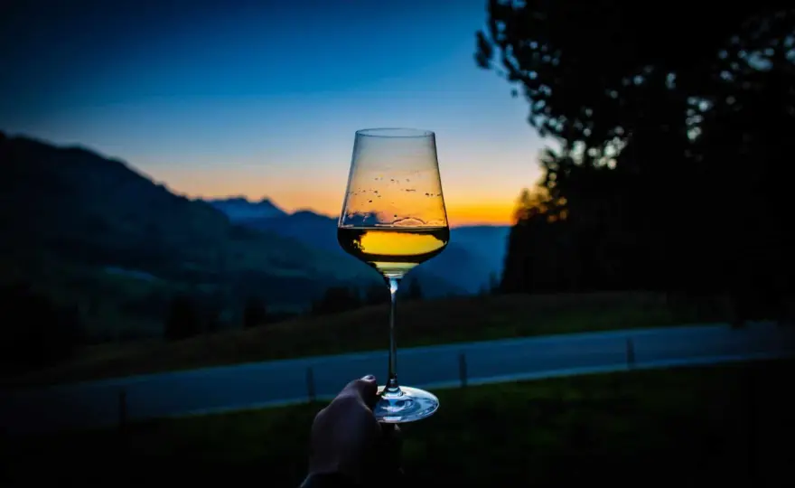 Vini aromatici - vitigni, stili e abbinamenti da conoscere