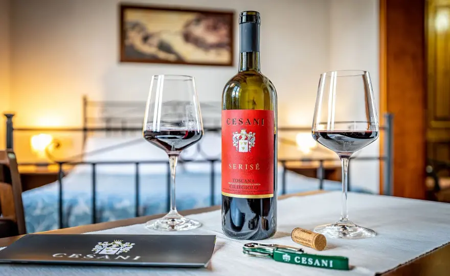 Cesani Winery a San Gimignano - vini e degustazioni