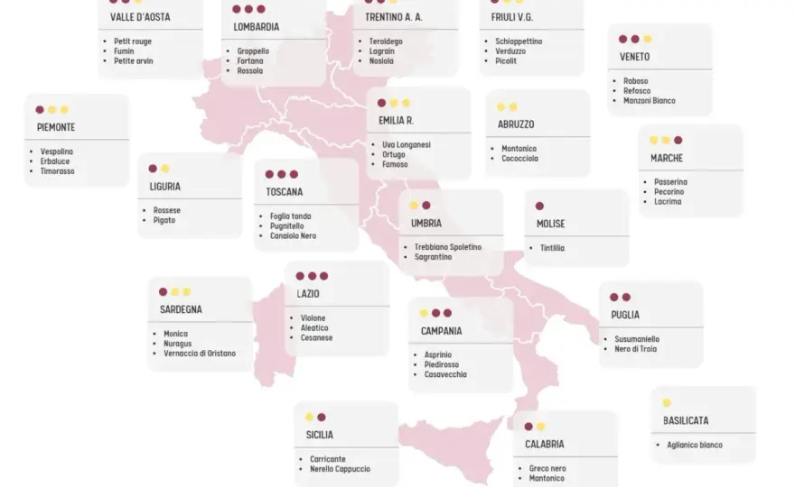 Quanti vitigni in Italia? La risposta che valorizza il vino
