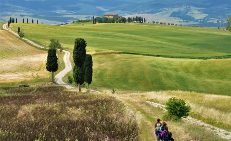 Route des vins toscane - itinerario tra Chianti e Val d'Orcia