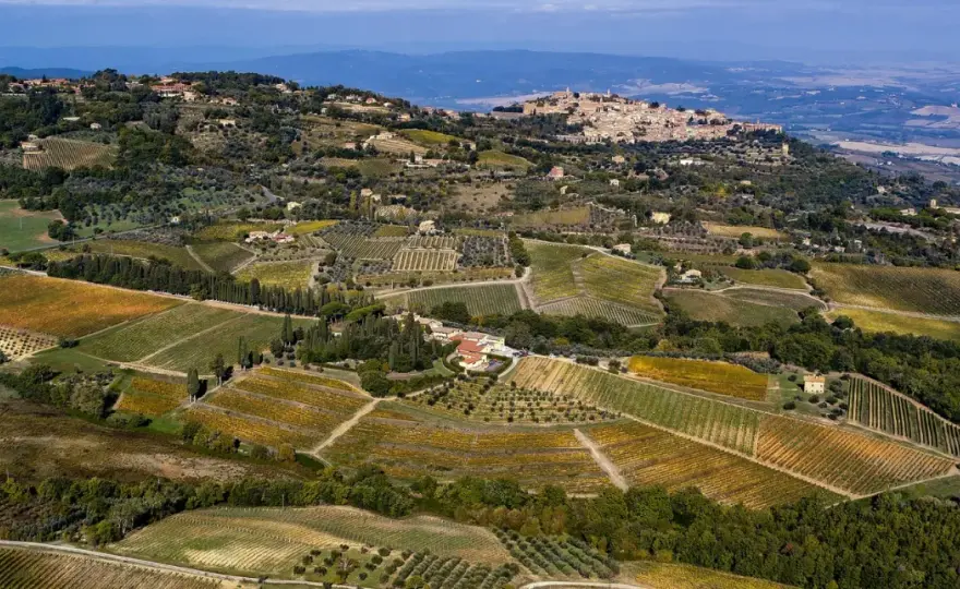 Degustazione Biondi-Santi a Montalcino - cosa sapere