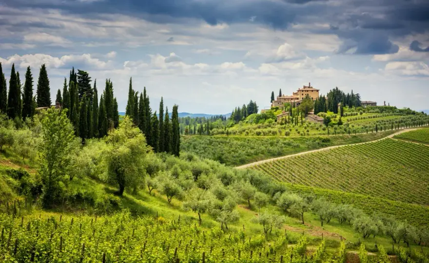 Chianti, dove si trova e cosa vedere tra borghi e cantine