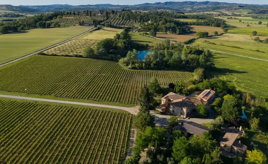 Cantina vicino a Siena - alla scoperta di Carpineta Fontalpino