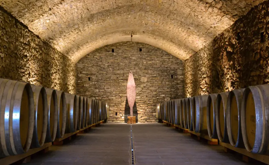 Visita cantina Chianti - Guida completa per un'esperienza top