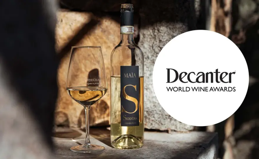 I migliori vini bianchi italiani da conoscere e scegliere