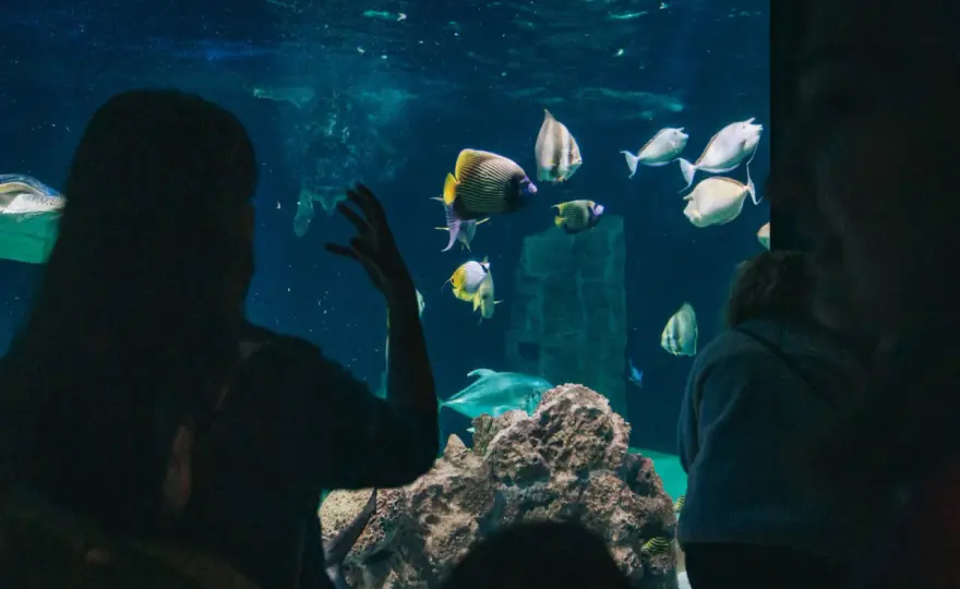 Acquario di Livorno - Guida completa per una visita perfetta
