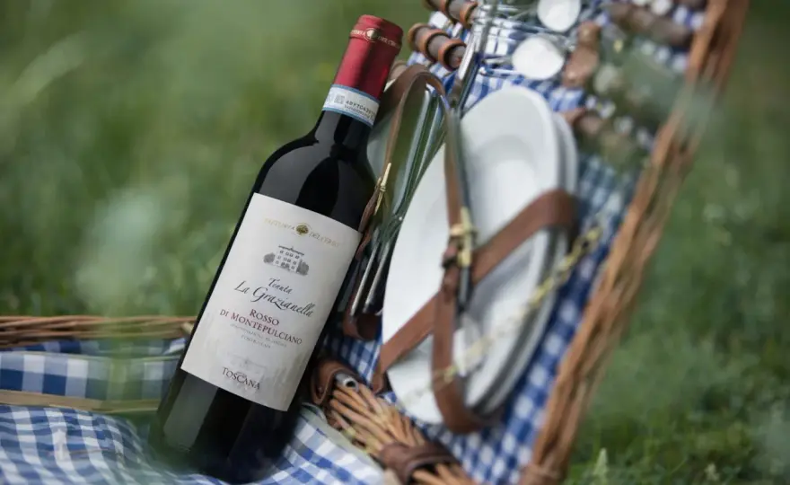 Sangiovese - Guida completa al vino simbolo della Toscana