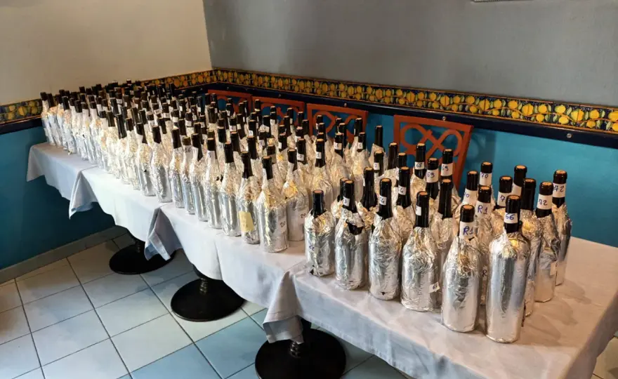 Pinot Nero del Mugello - Stile, Cantine e Degustazioni