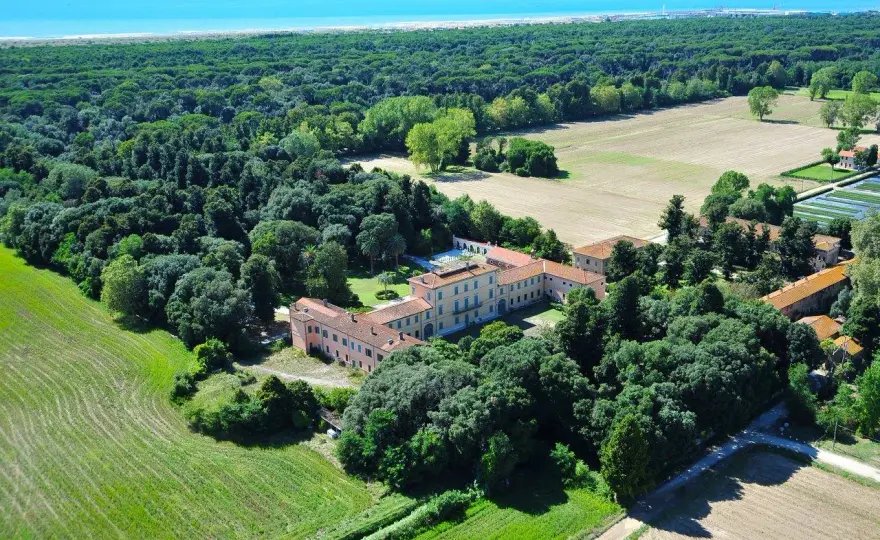Pineta di Levante Viareggio - Guida completa per visitarla al meglio