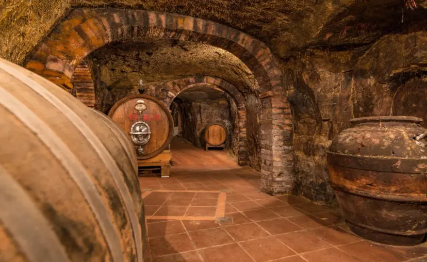 Colle Santa Mustiola a Chiusi tra vino, tufo e archeologia