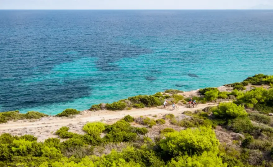 Pianosa - Guida Completa all'Isola, Cosa Vedere e Regole