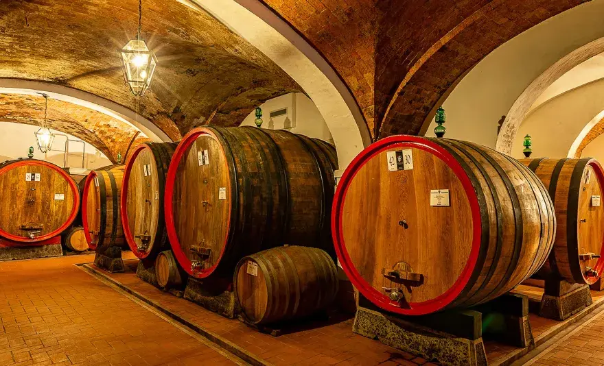 Cantine a Montepulciano, guida a visite, vini e degustazioni