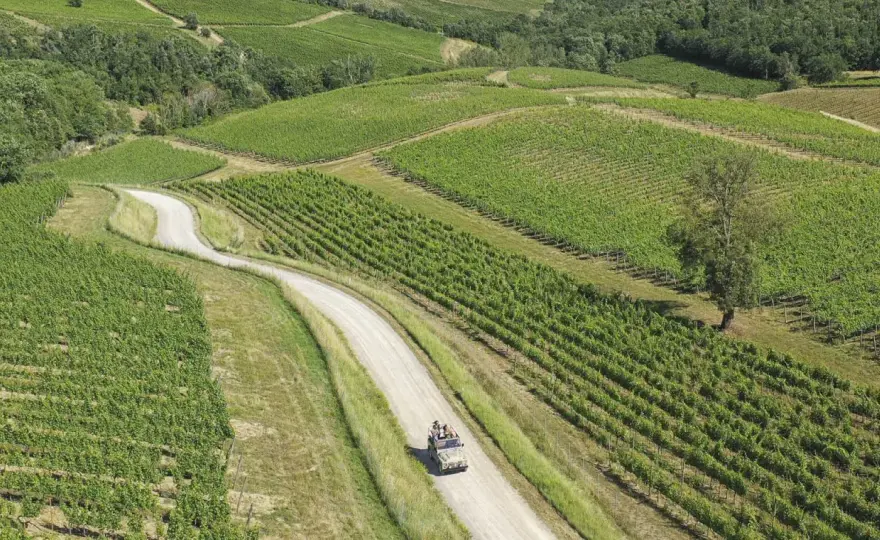 Tour delle cantine del Chianti - itinerari, costi e consigli