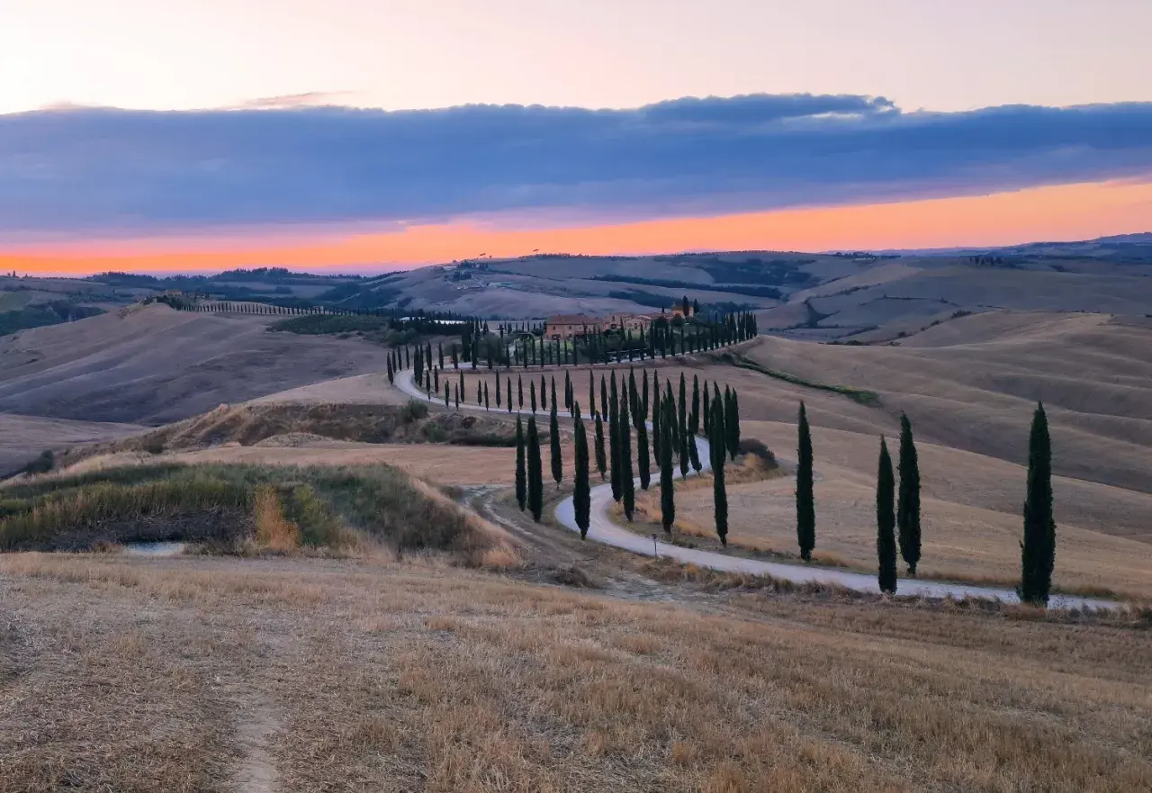 Winding road lined with cypress trees leading to a Tuscan villa at sunset.