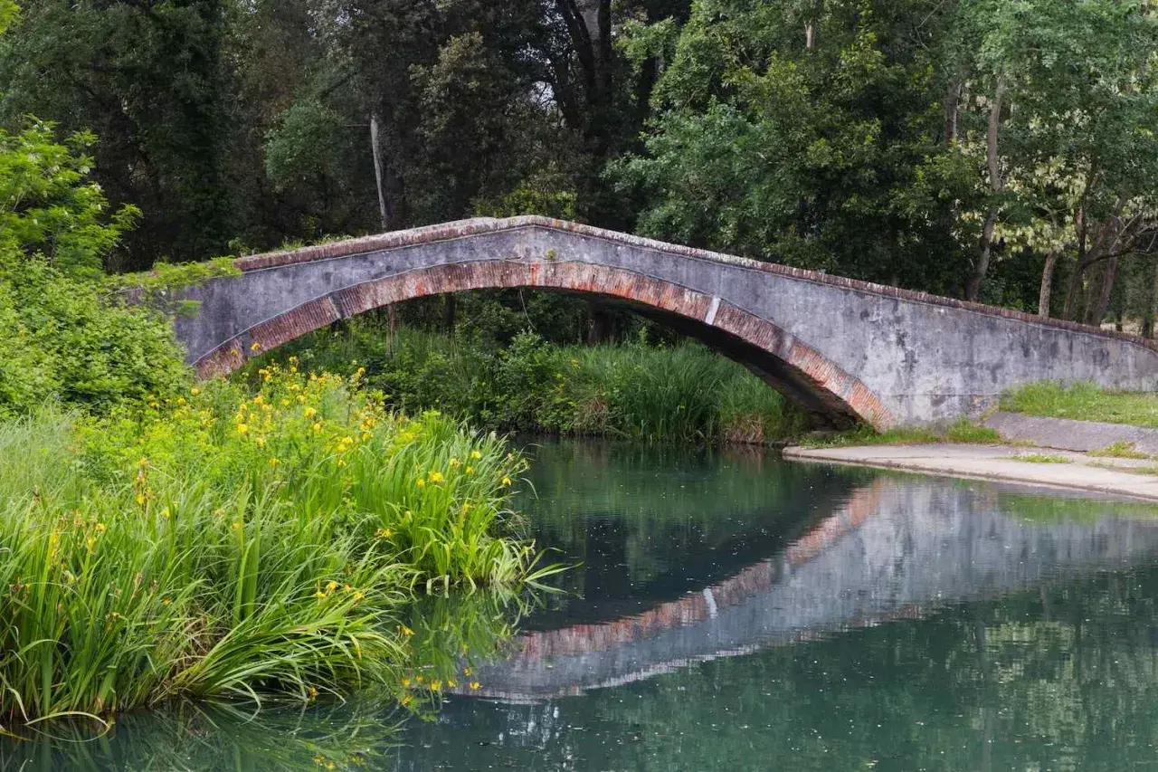 Ponte in pietra nel parco della Versiliana, con vegetazione lussureggiante e fiori gialli che si specchiano nell'acqua calma.