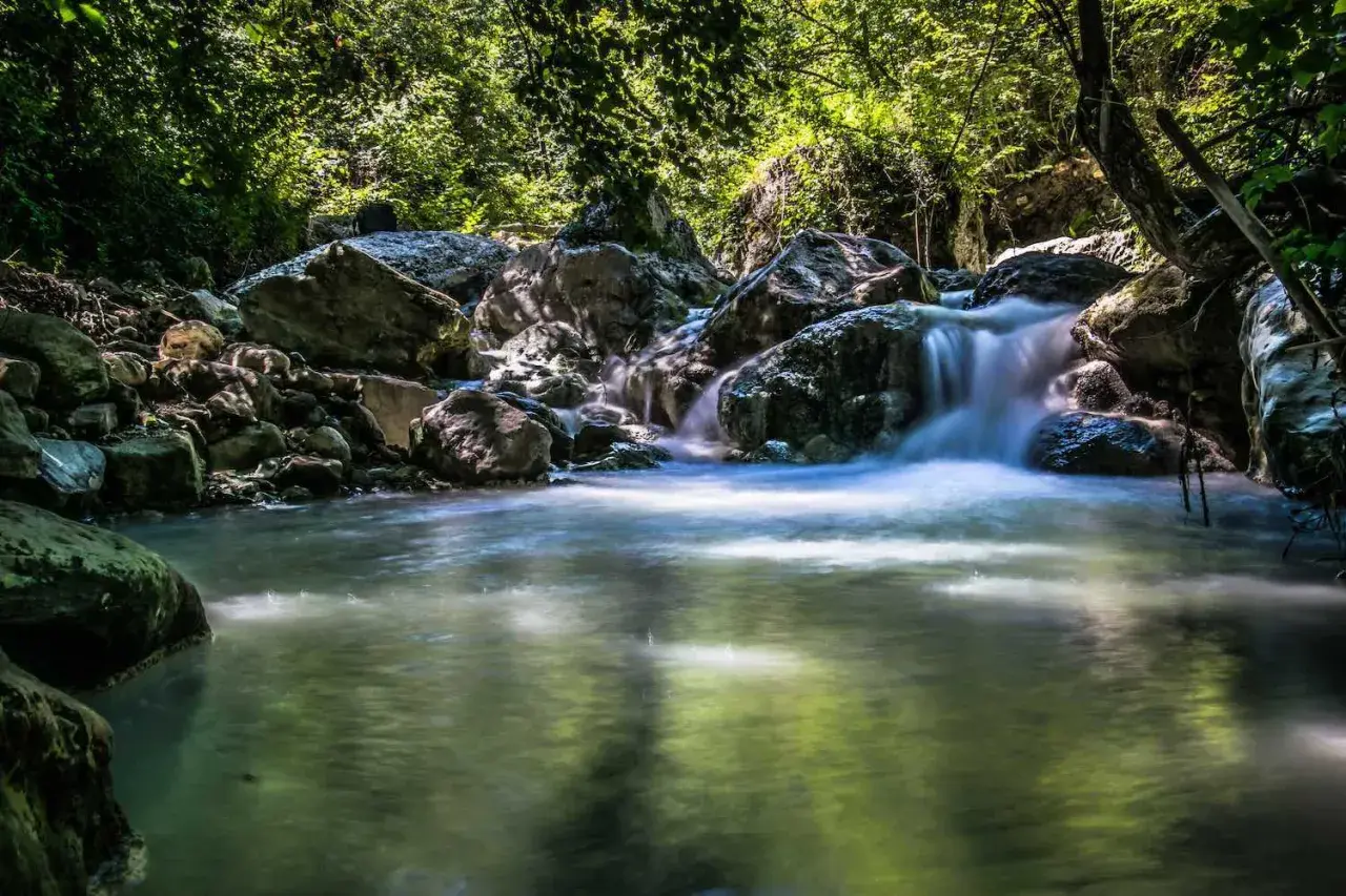 Cascata in un bosco rigoglioso, con rocce levigate dall'acqua. Un'oasi di pace che ricorda le suggestive terme di Siena.