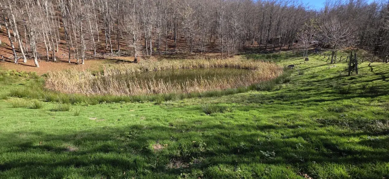 Un piccolo lago, il lago degli idoli, riflette il cielo tra canneti e un bosco spoglio. L'erba verde brillante copre il pendio.