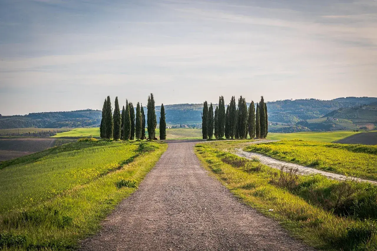 Strada sterrata attraversa la **toscana countryside** con filari di cipressi che guidano lo sguardo verso dolci colline verdi.