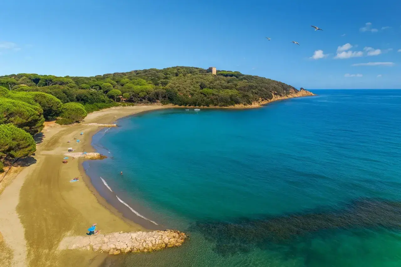 Spiaggia dorata baciata da acque turchesi, un angolo di paradiso tra i pini marittimi. Un vero gioiello tra le punta ala spiagge più belle.